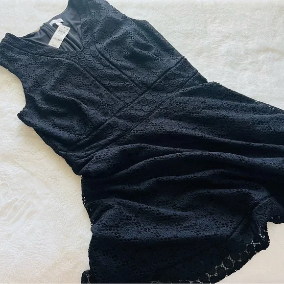 NWT CHARTER CLUB Fit & Flare Lace Overlay Black Knee Length Dress Plus Size 4X - Picture 6 of 10